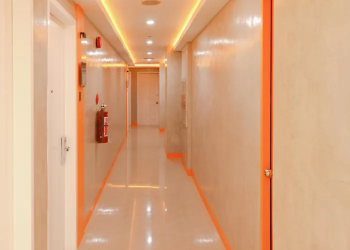Vibrant Hotel 3*